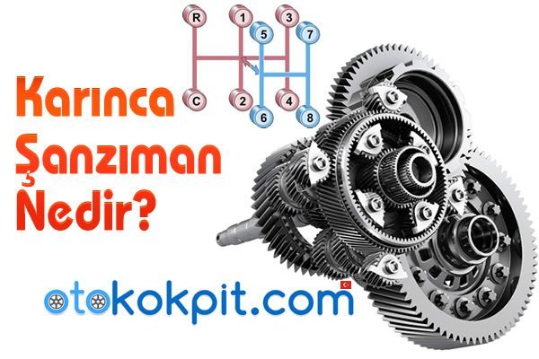 Karınca Şanzıman Nedir? Neye Yarar?