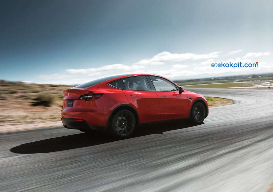 2021 Tesla Model Y Menzili