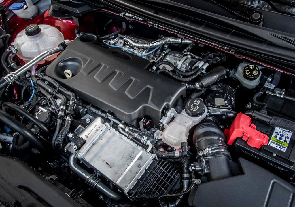 2020 Ford Kuga Motoru